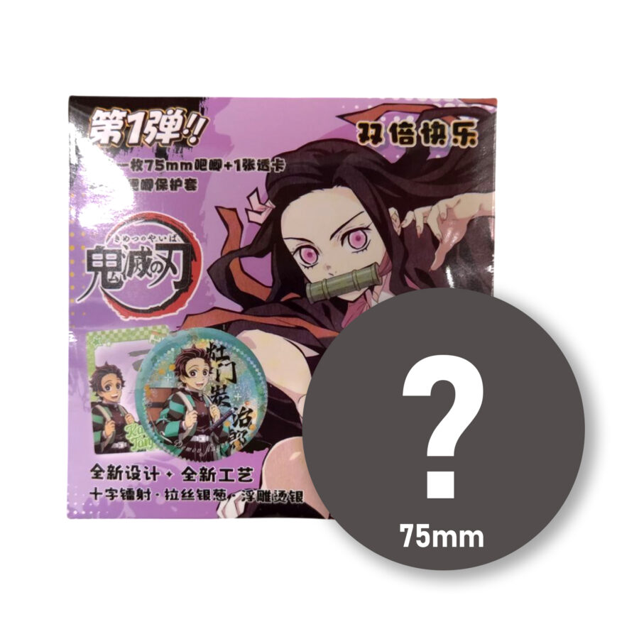 Demon Slayer Vol1. Mystery Anime Pin 75mm