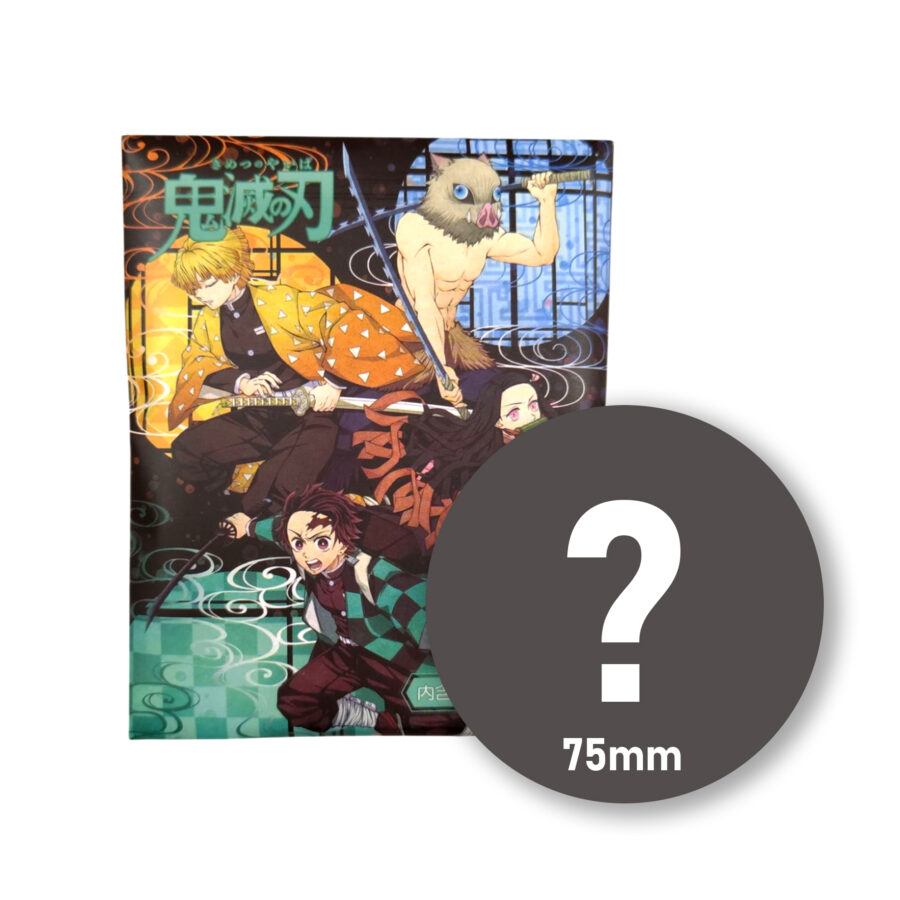 Demon Slayer Vol2. Mystery Anime Pin 75mm