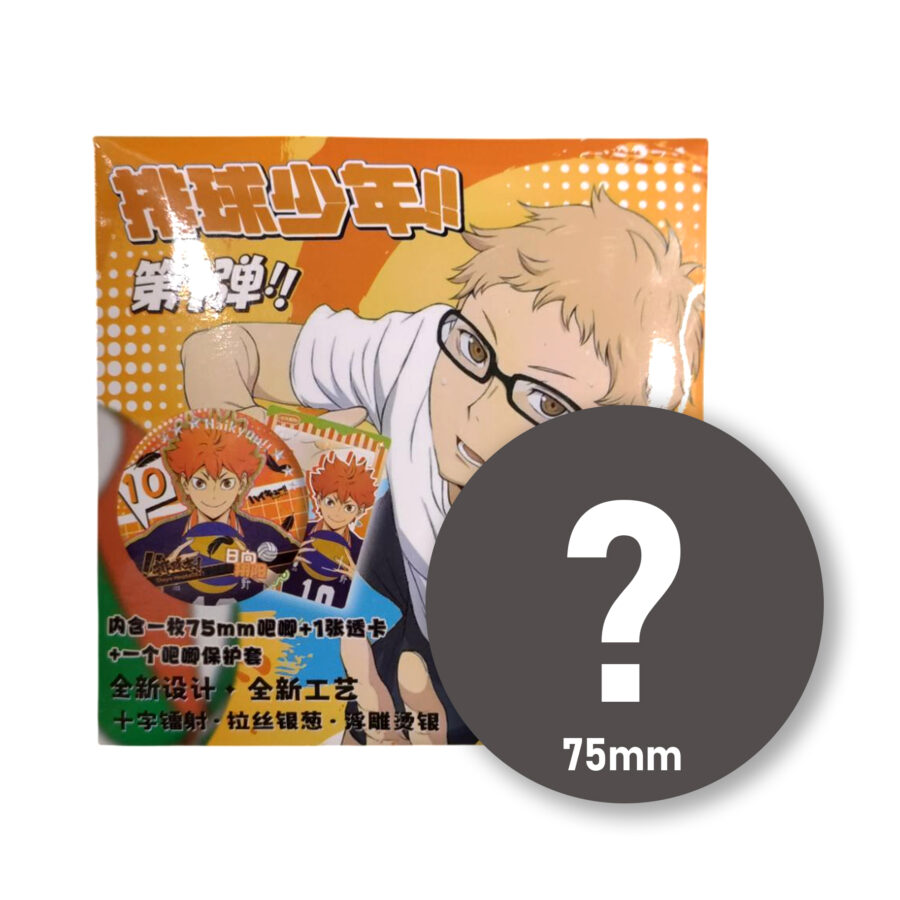 Haikyu! Mystery Anime Pin 75mm