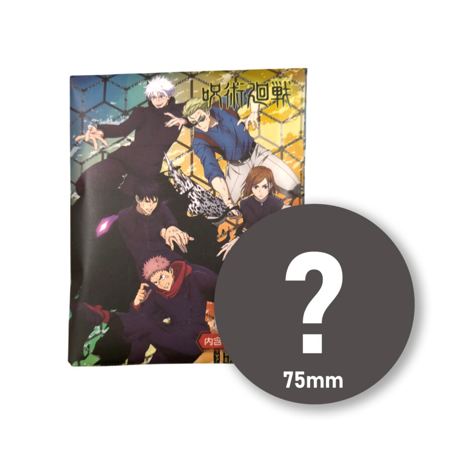 Jujutsu Kaisen Mystery Anime Pin 75mm