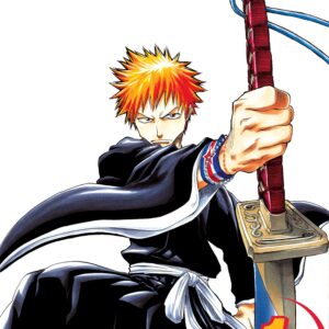 Bleach Vol. 1 manga